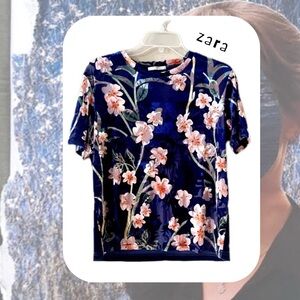 🆕 Zara • blue & pink floral print velvet short sleeve blouse top